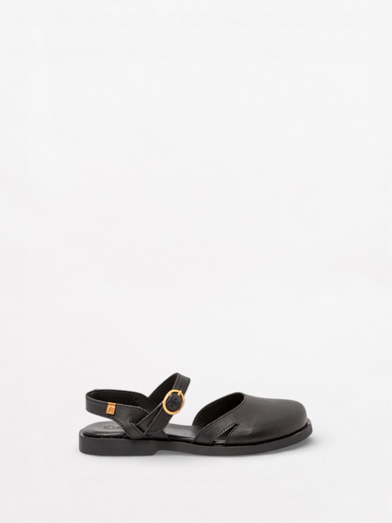 Arenisca N5874